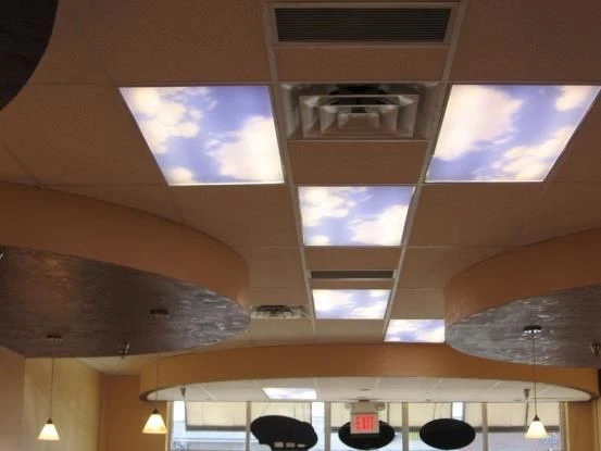 FC017 - Custom Ceiling Graphic for Interior Design