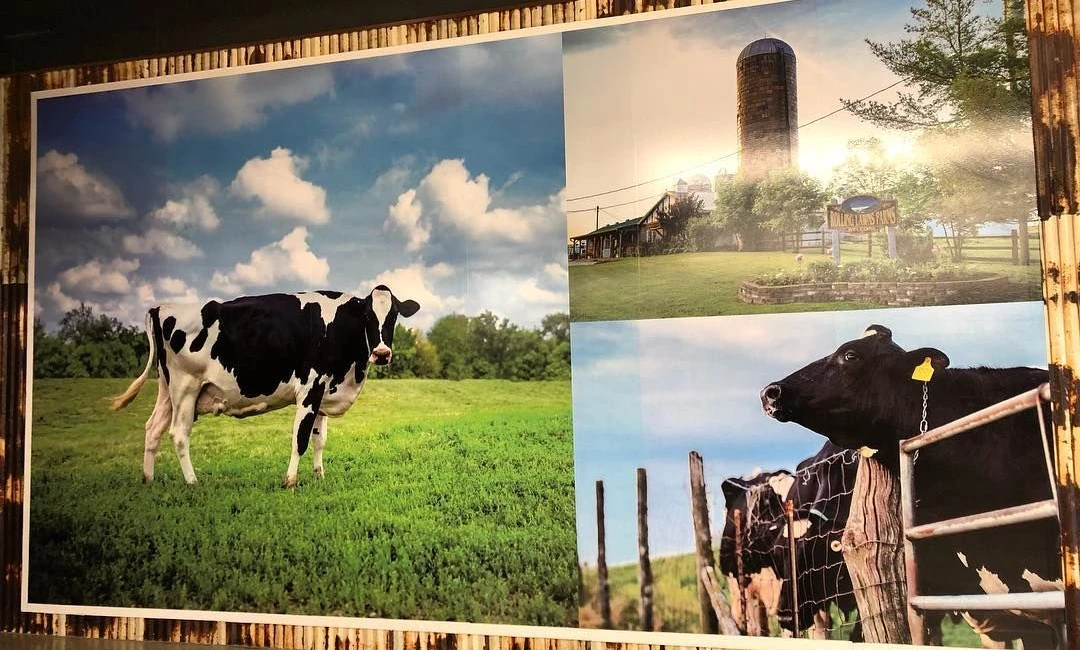 Wall Murals in Rochester