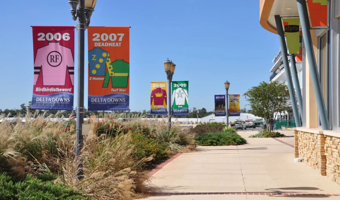 Pole Banners in Rochester