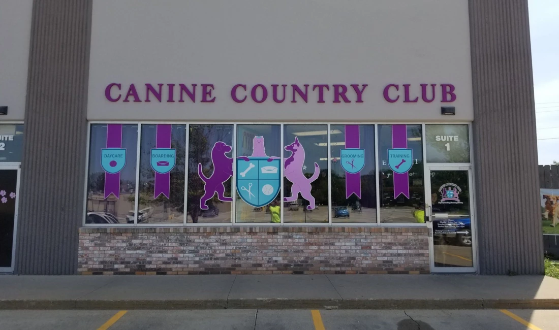 Window Graphics