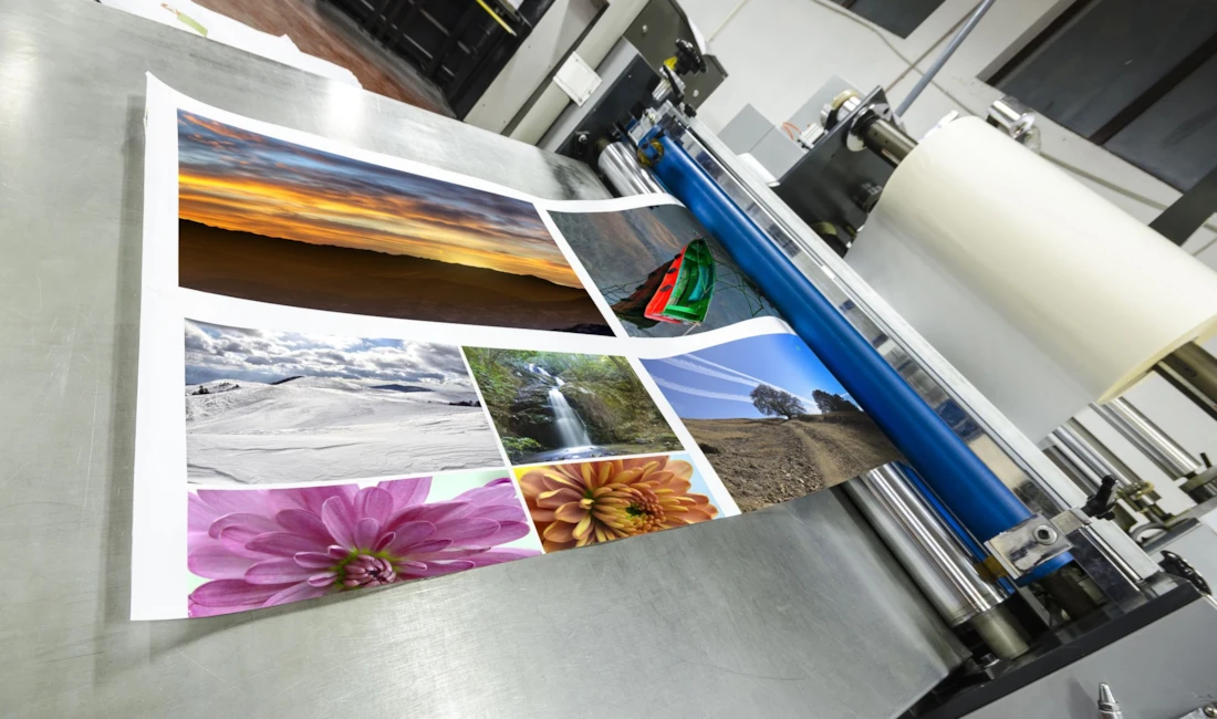 Custom Sign Printing in Rochester
