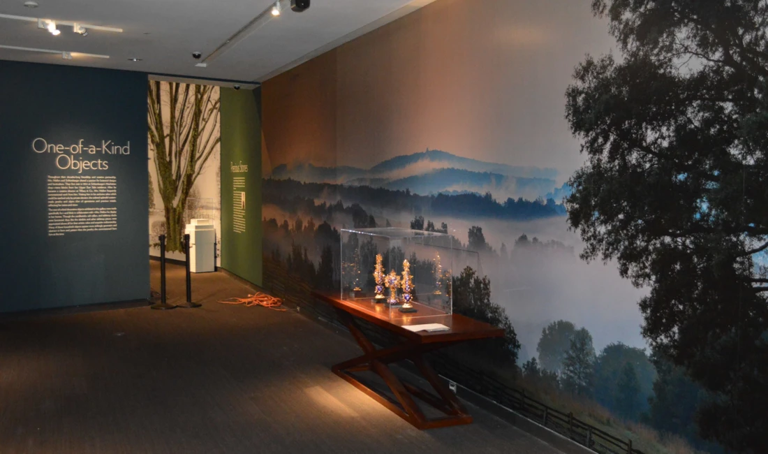 Wall Graphics