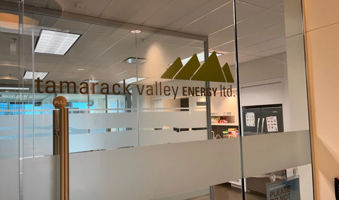Custom Vinyl Door Decals For Your Rochester Business
