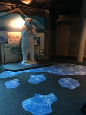 Floor graphics Seneca Park Zoo Rochester NY