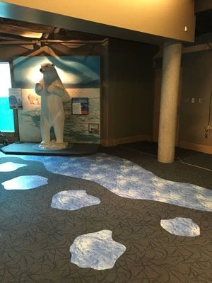 Floor graphics Seneca Park Zoo Rochester NY