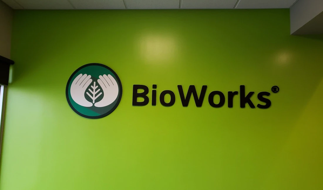 3D Signs & Dimensional Lettering in Rochester
