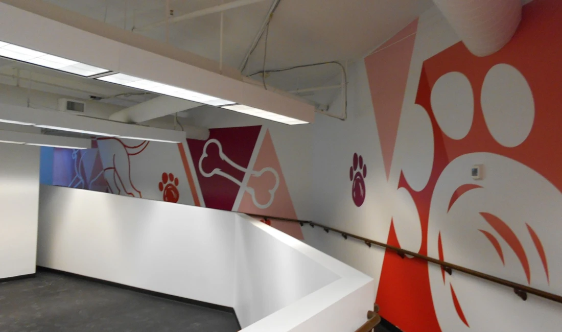 Wall Murals in Rochester